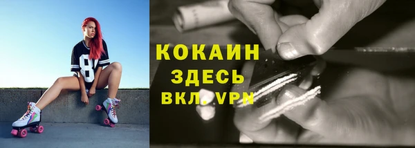 гашик Киреевск