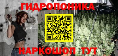 молекула духа Ливны