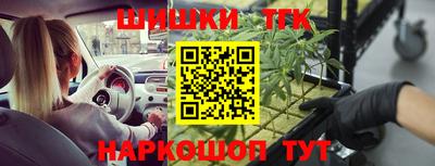 прущие грибы Лесосибирск