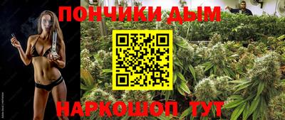 прущие грибы Лесосибирск