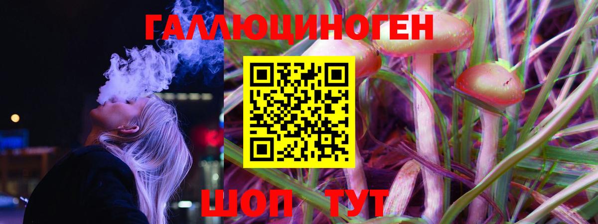 Темрюк  Галлюциногенные грибы Psilocybe  Вход с VPN 